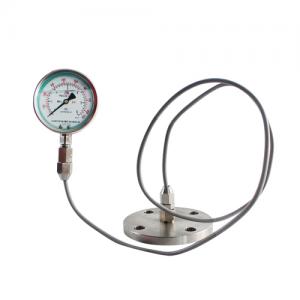 Stainless steel diaphragm shock proof pressure gauge yb-100fzrlmf Stainless steel diaphragm shock proof pressure gauge yb-100fzrlmf