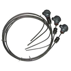 Armored thermocouple wrnk-121
