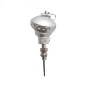 Armoured thermocouple wrnk-321