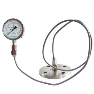 Diaphragm pressure gauge y-100brlmf