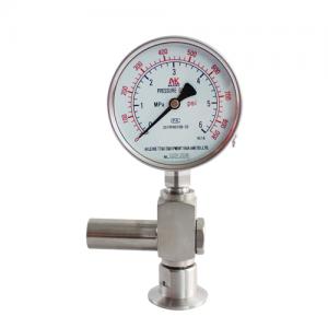 Diaphragm pressure gauge yb-100gymc