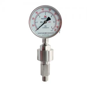 Diaphragm pressure gauge yb-100znmz