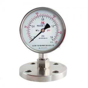 Stainless steel diaphragm pressure gauge y-100bmf