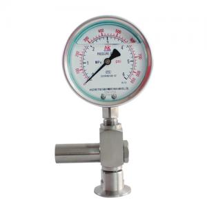 Stainless steel diaphragm shock proof pressure gauge yb-100fzgymc